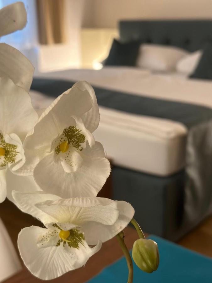 Sweet - A Cozy Welcome Apartament Viena