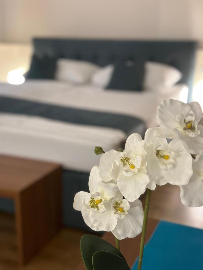 Sweet - A Cozy Welcome Vienne
